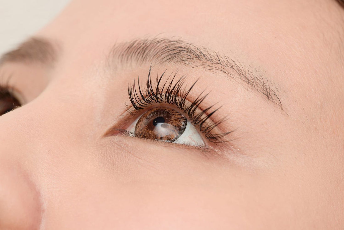 Electric Eyelash Curler